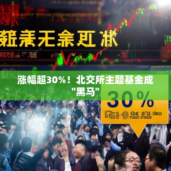 涨幅超30%！北交所主题基金成
