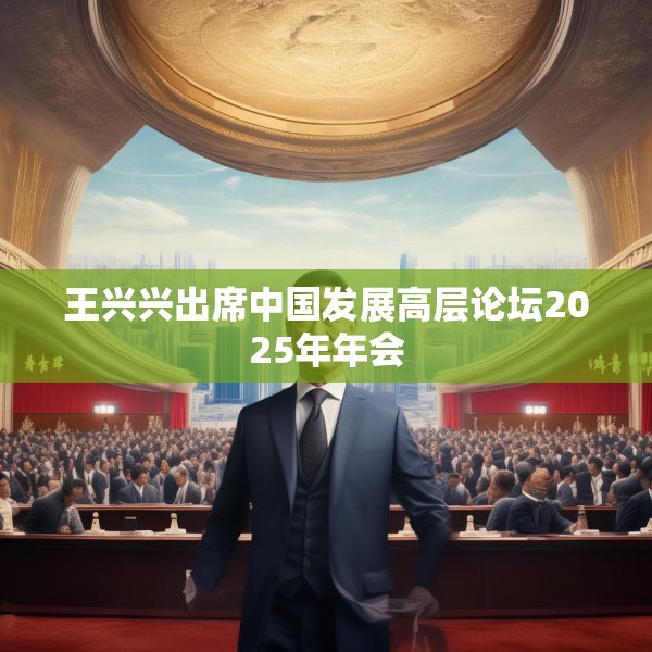 王兴兴出席中国发展高层论坛2025年年会