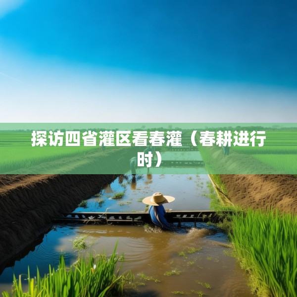 探访四省灌区看春灌（春耕进行时）