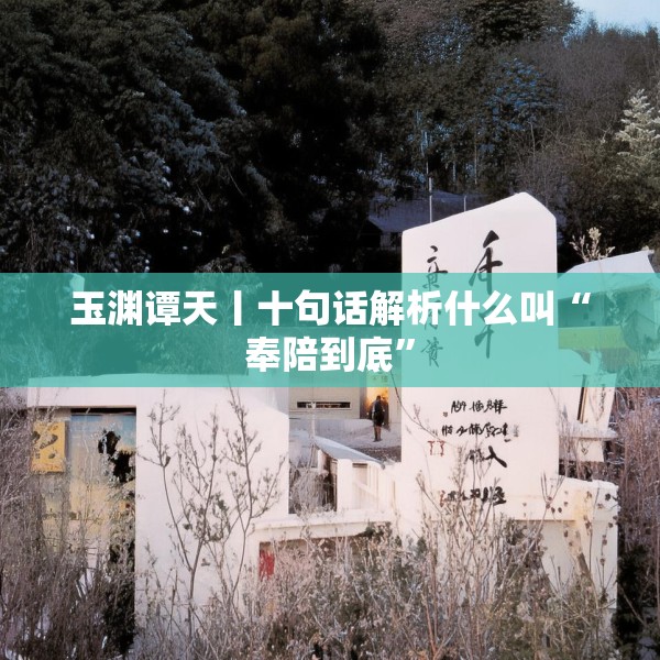 玉渊谭天丨十句话解析什么叫“奉陪到底”