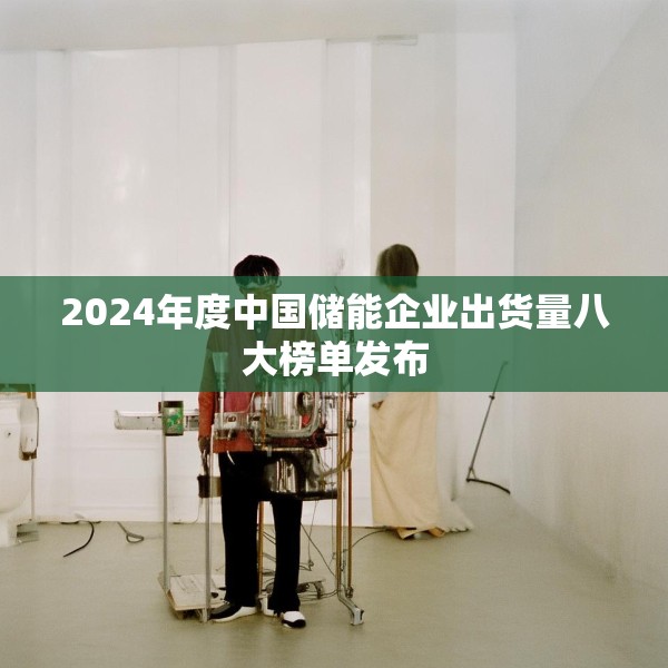 2024年度中国储能企业出货量八大榜单发布