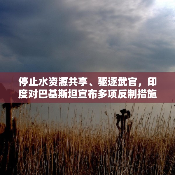 停止水资源共享、驱逐武官，印度对巴基斯坦宣布多项反制措施