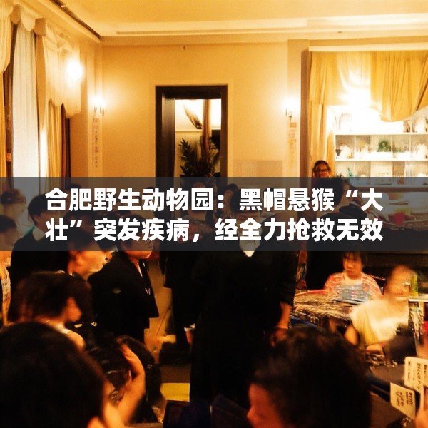 合肥野生动物园：黑帽悬猴“大壮”突发疾病，经全力抢救无效离世