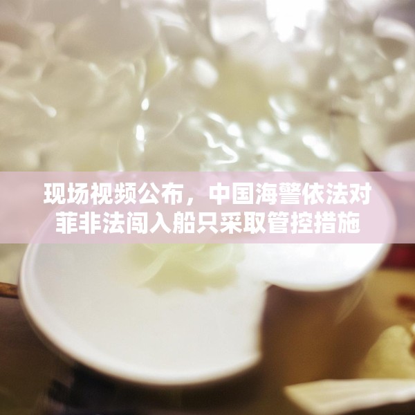 现场视频公布，中国海警依法对菲非法闯入船只采取管控措施