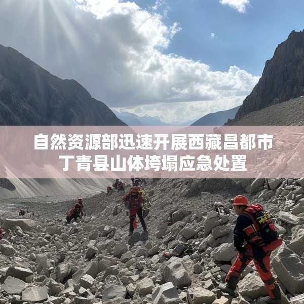 自然资源部迅速开展西藏昌都市丁青县山体垮塌应急处置
