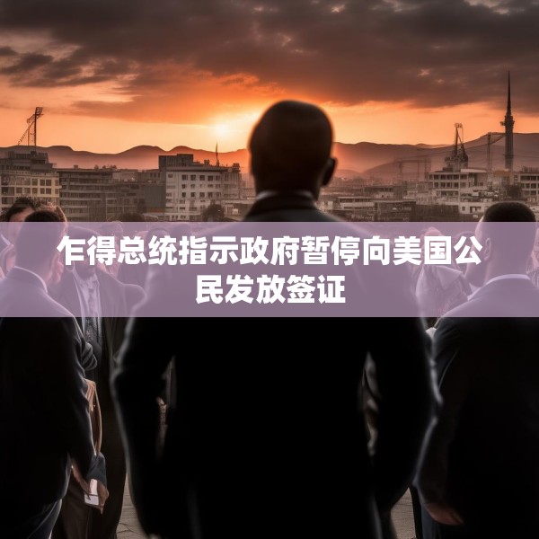 乍得总统指示政府暂停向美国公民发放签证