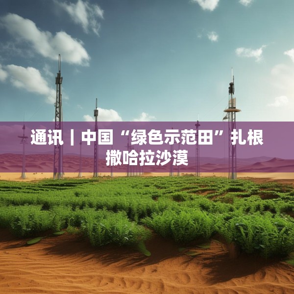 通讯｜中国“绿色示范田”扎根撒哈拉沙漠