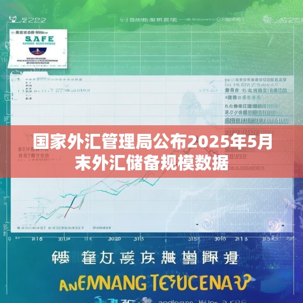 国家外汇管理局公布2025年5月末外汇储备规模数据