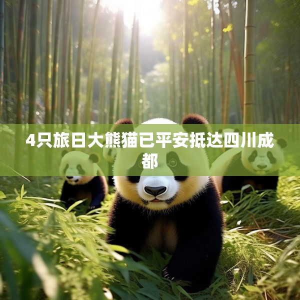 4只旅日大熊猫已平安抵达四川成都