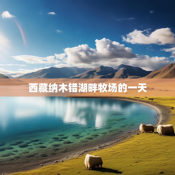 西藏纳木错湖畔牧场的一天