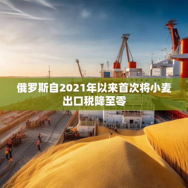 俄罗斯自2021年以来首次将小麦出口税降至零