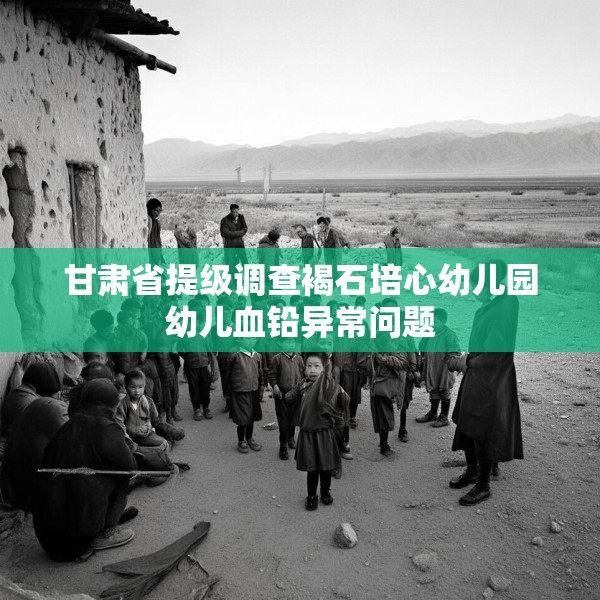 甘肃省提级调查褐石培心幼儿园幼儿血铅异常问题